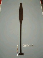 藏品(木槳)的圖片